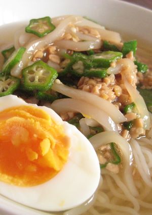 冷麺に、イカ・納豆・オクラ　合います★-レシピのメイン写真