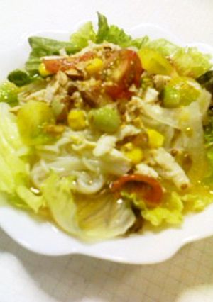 ☆あっさり蒸し鶏サラダ冷麺☆-レシピのメイン写真