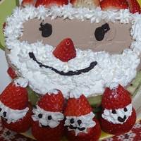 基本からアレンジまで!思わずつくりたくなる「クリスマスケーキ 基本からアレンジまで!思わずつくりたくなる「クリスマスケーキ