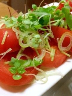 ★簡単★トマトと香味野菜のサラダ-レシピのメイン写真