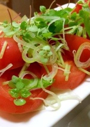 ★簡単★トマトと香味野菜のサラダ-レシピのメイン写真
