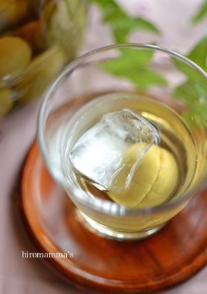 梅酒の作り方-レシピのメイン写真