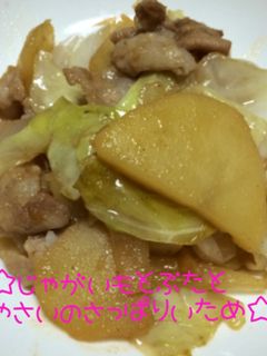 ☆じゃがいもと豚と野菜のさっぱり炒め☆-レシピのメイン写真
