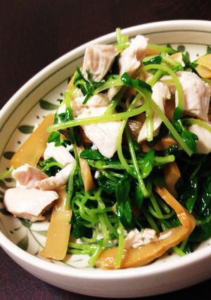 鶏ささみと豆苗の温サラダ-レシピのメイン写真