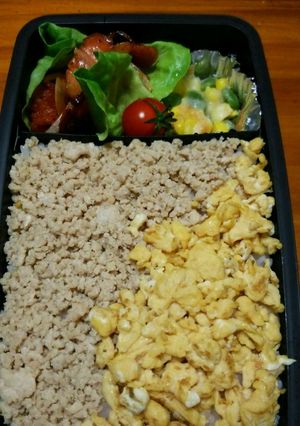 簡単！とりそぼろ弁当-レシピのメイン写真