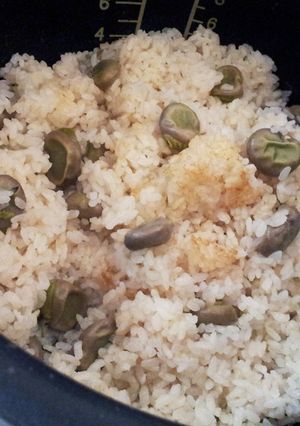 そら豆とじゃこの炊き込みご飯-レシピのメイン写真
