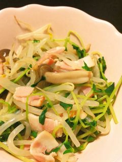豆苗ともやしのさっぱりサラダ-レシピのメイン写真