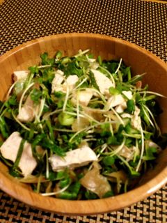 蒸し鶏と香味野菜のサラダ-レシピのメイン写真
