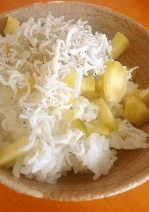 シラスと青パパイヤぬか漬けのご飯-レシピのメイン写真