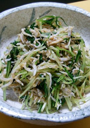 水菜としらすのおひたし-レシピのメイン写真
