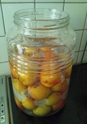 初めての杏酒-レシピのメイン写真