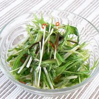 基本からアレンジまで！思わずつくりたくなる「水菜 漬け」のレシピ集