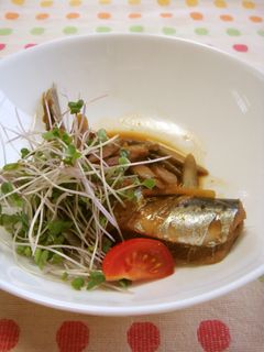 イワシとゴボウの生姜煮-レシピのメイン写真