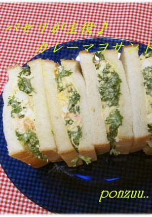 パセリが主役♪カレーマヨサンド-レシピのメイン写真