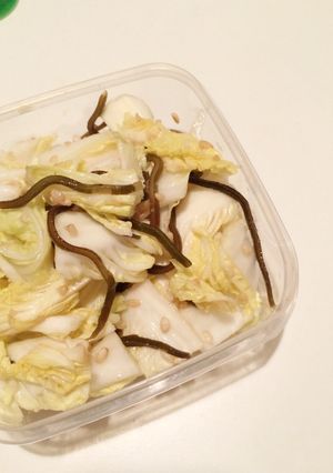 白菜＊塩麹の浅漬け-レシピのメイン写真