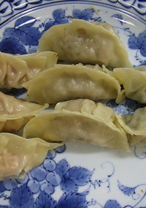 ドイツ・イタリア・和風３国餃子-レシピのメイン写真