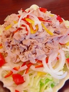 モリモリ食べたい‼︎冷しゃぶサラダ♪-レシピのメイン写真