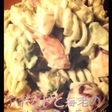 簡単❁アボカドと海老のパスタサラダ❁