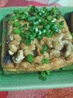厚揚げ納豆-レシピのメイン写真