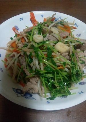 ニンニク香る豆苗炒め〜野菜+豚コマ入り♪-レシピのメイン写真