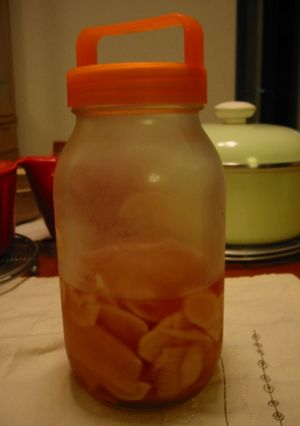 新しょうがの甘酢漬け-レシピのメイン写真