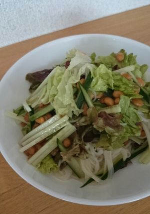 夏にピッタリ！納豆サラダそうめん-レシピのメイン写真