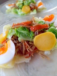 きんぴらごぼうのリメイクサラダ-レシピのメイン写真