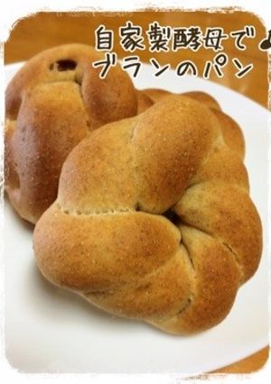 自家製酵母で♪ブランのパン-レシピのメイン写真