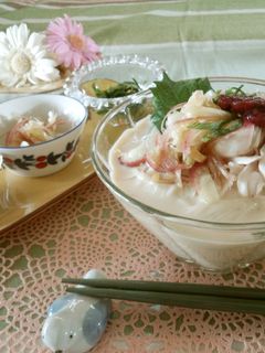 しっとりささみの豆乳素麺 薬味添え-レシピのメイン写真