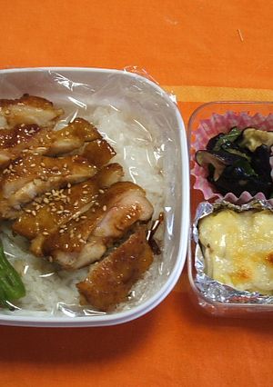お弁当いろいろ-レシピのメイン写真