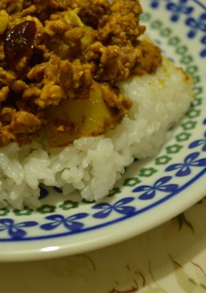 簡単ヘルシー☆お豆腐ドライカレー-レシピのメイン写真