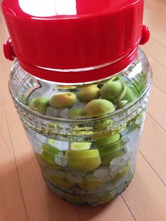 始めての梅酒✽甘口-レシピのメイン写真