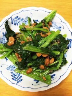 栄養満点!納豆ほうれん草-レシピのメイン写真
