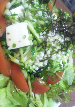 普通の豆腐サラダにあれが入ると・・・-レシピのメイン写真