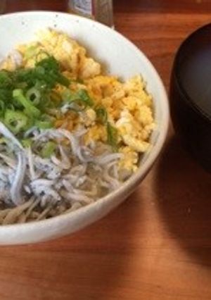 しらすの夏色丼-レシピのメイン写真
