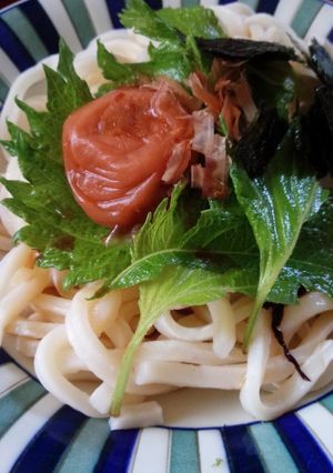 夏味♡梅しそおかか冷やしうどん-レシピのメイン写真