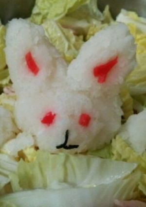 大根おろしアート ウサギ-レシピのメイン写真