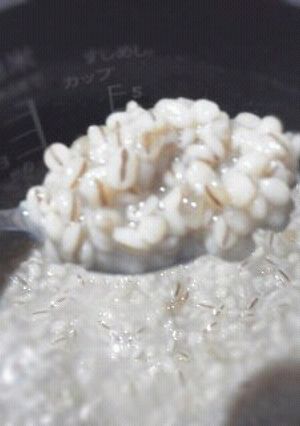 ローカロで健康！麦こうじ甘酒※追記有あり-レシピのメイン写真