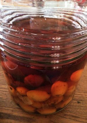 ビワ酒-レシピのメイン写真