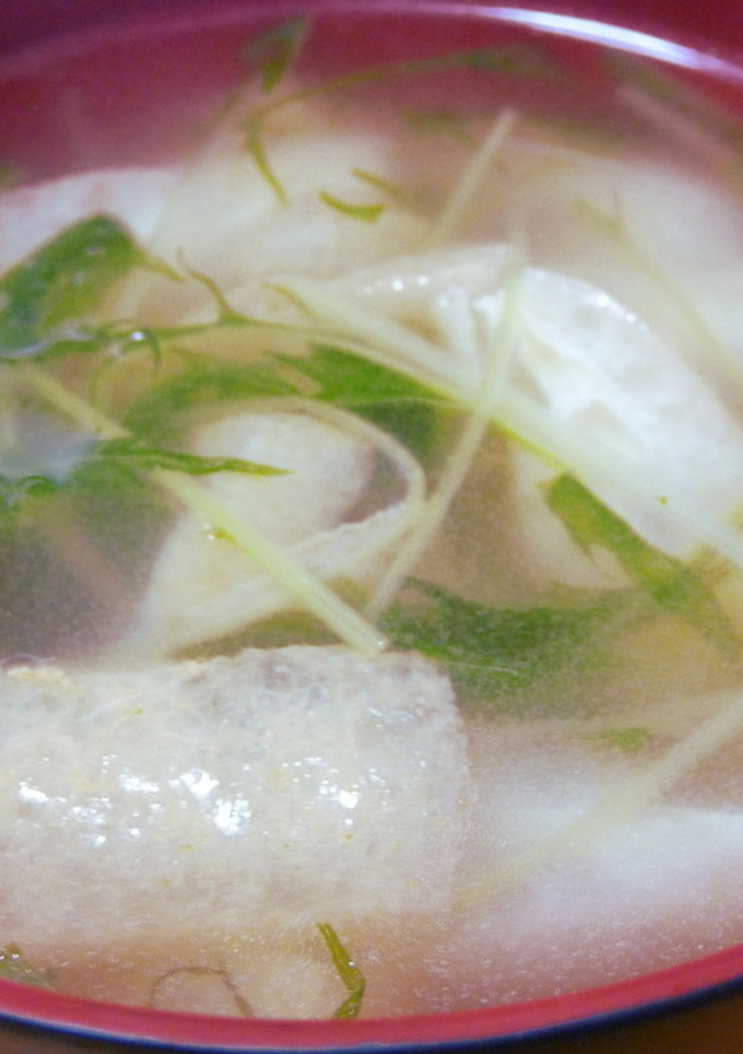 ちょっピリッ！揚げと水菜の柚子胡椒汁-レシピのメイン写真