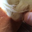 中種 HB 早焼きモードでふわもち食パン