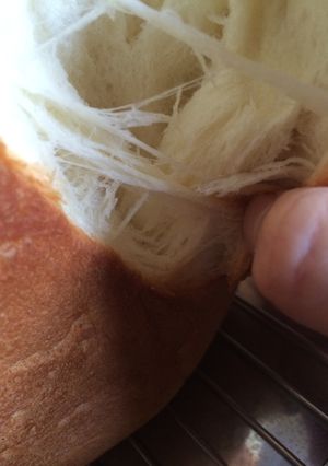 中種 HB 早焼きモードでふわもち食パン-レシピのメイン写真