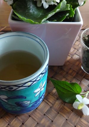 ドクダミ茶-レシピのメイン写真