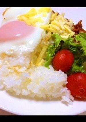 タコライス-レシピのメイン写真