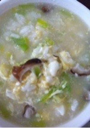 即席ネギ塩鳥雑炊-レシピのメイン写真