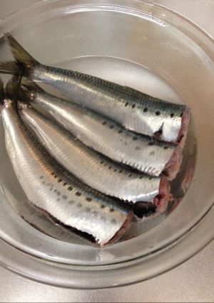鰯のさばき方（覚書）-レシピのメイン写真