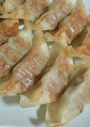 焼き餃子-レシピのメイン写真
