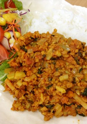 ビーガン料理♪こうや豆腐でドライカレー-レシピのメイン写真