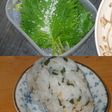 しその塩漬(使い勝手抜群^^)