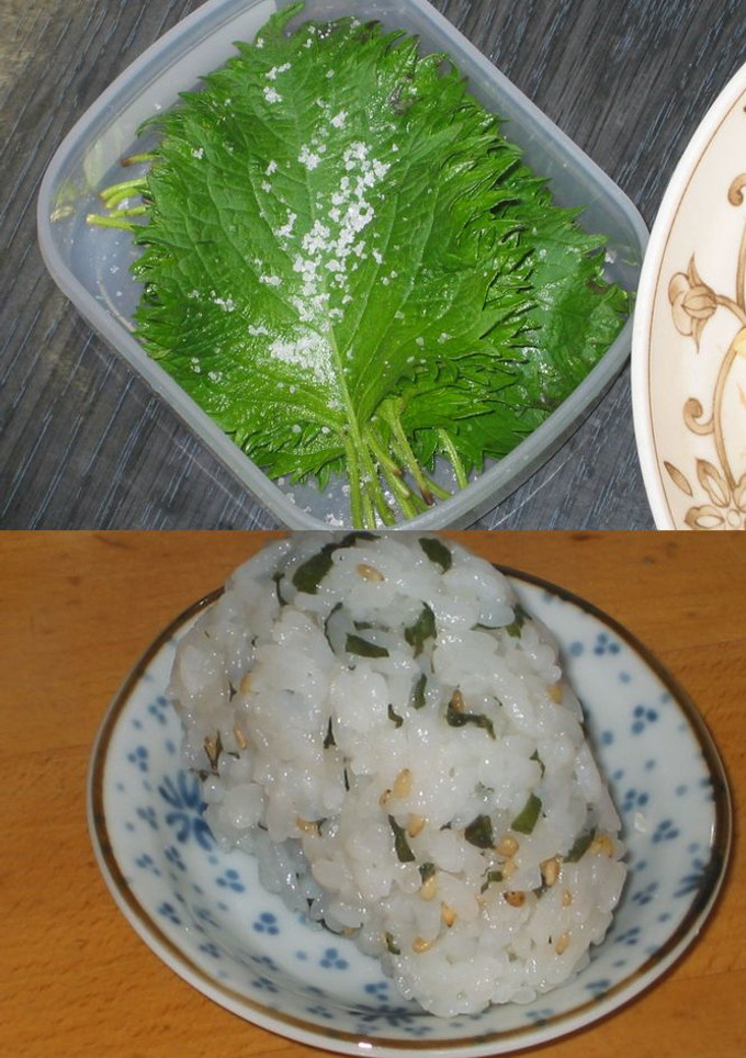 しその塩漬（使い勝手抜群^^）-レシピのメイン写真